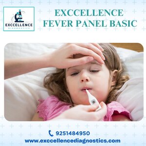Exccellence fever panel package