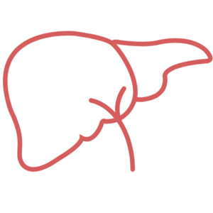 Icon of Liver & Tumor Treatment, Medikiran