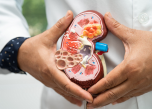 Chronic Kidney Disease