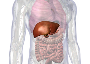 Preparing for Liver or Pancreas Surgery: What Patients Need to Know | Dr. Dinesh Zirpe