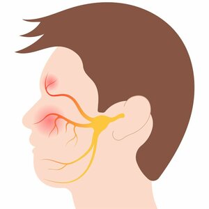 Stroke and Bell&rsquo;s palsy treatment