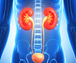 Kidney and Urinary Problems in Children