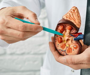 Kidney Stone and Urinary Stone Removal