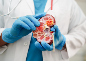 Reconstructive urology