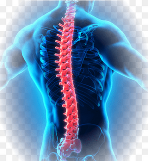 Spinal Surgery