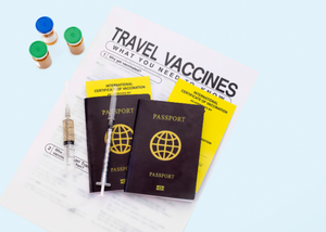 travel vaccination