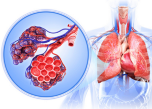 Respiratory Conditions