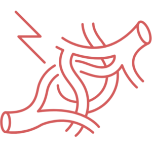 Icon of Peripheral Vascular Intervention, Medikiran