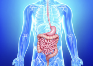 Digestive disorders