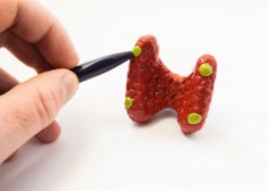 Parathyroid Disorders