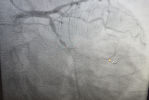 Heart Beat Care Center|Shivdarshan Chowk,Pune