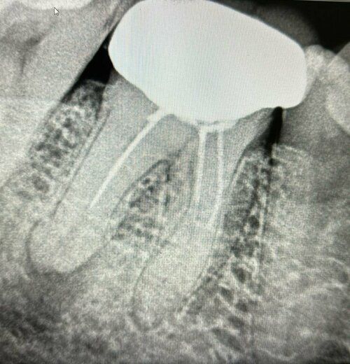 Phadke's Vitality Dental Clinic|Karve Nagar,Pune