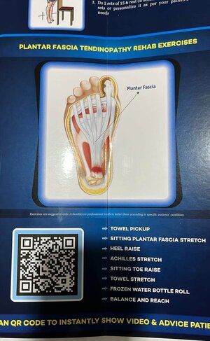 Plantar Fascia Tendinopathy Rehab Exercises