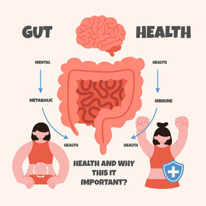 Your Gut Health Guide