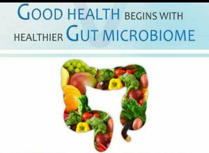 Good health begins with healthier Gut Microbiome