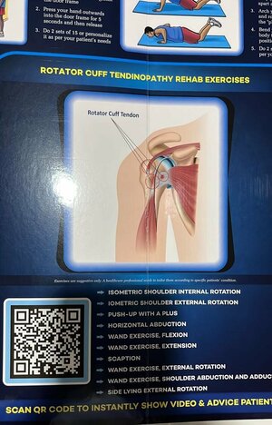 Rotator Cuff Tendinopathy Rehab Exercises