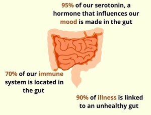 Interesting facts about Gastrointestinal System - Dr. Varun Khandagale