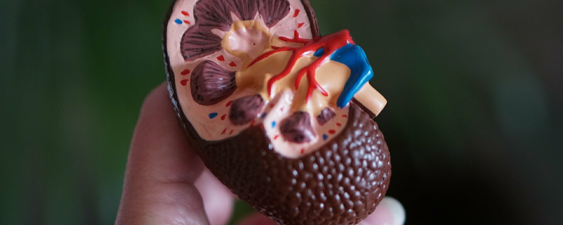 The Urology Clinic - banner photos