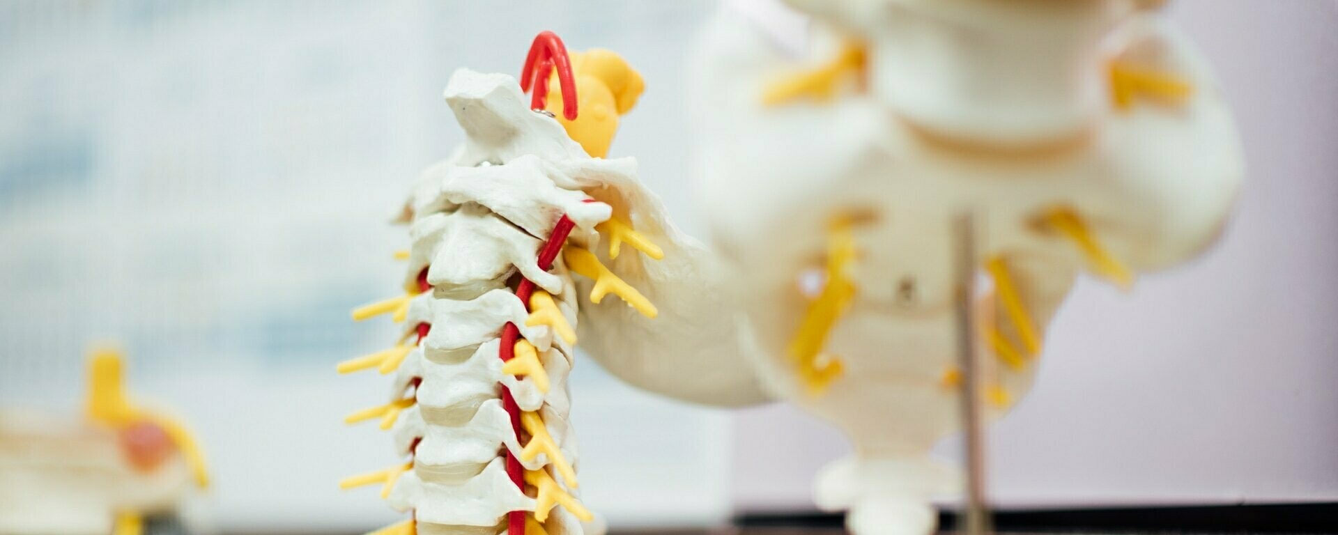 Banner of Matruchhaya Spine Clinic