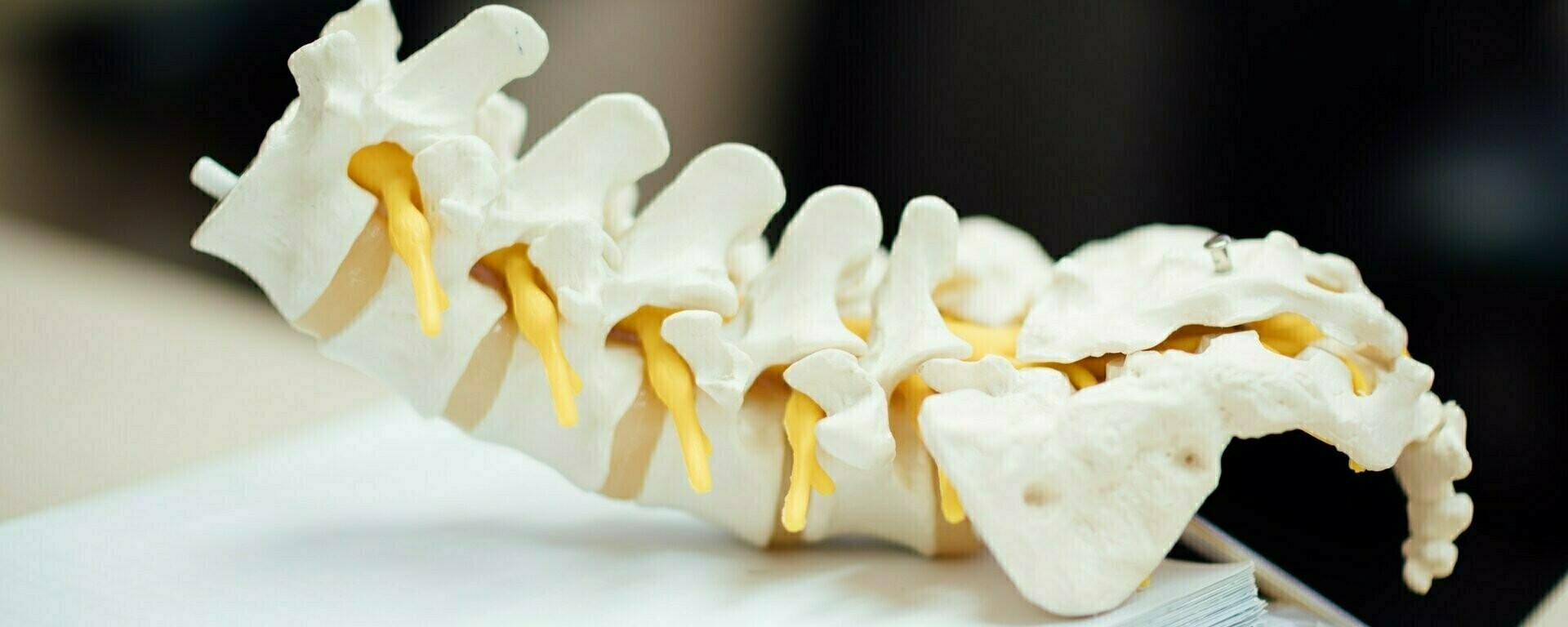 Banner of Dr Rajat Mahajan