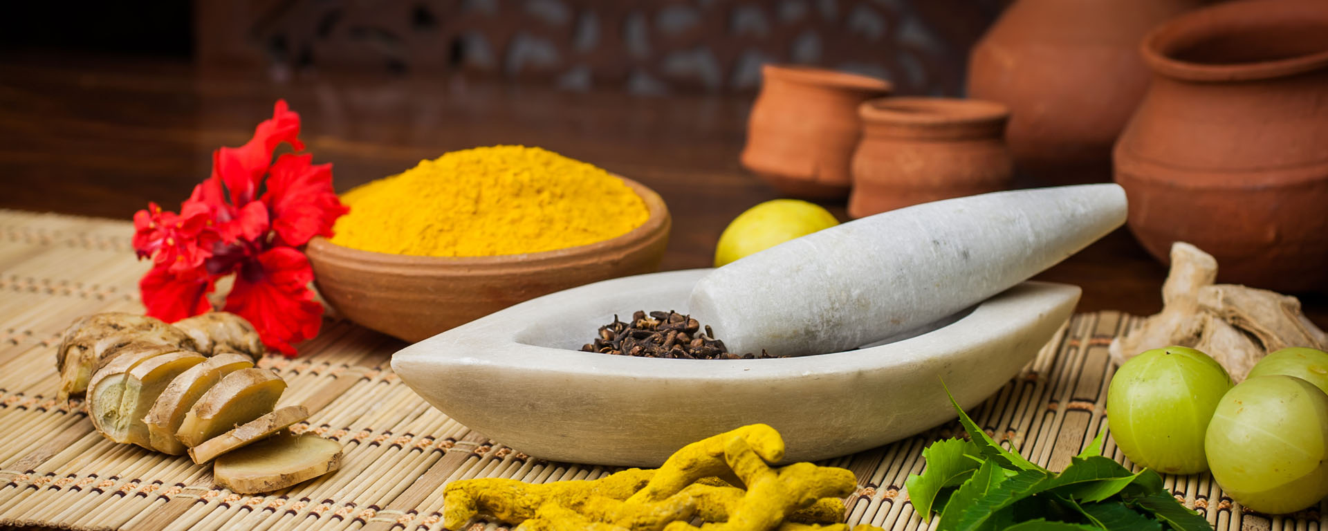 Banner of Shantabai shivshankar Arali Ayurvedic Hospital & College