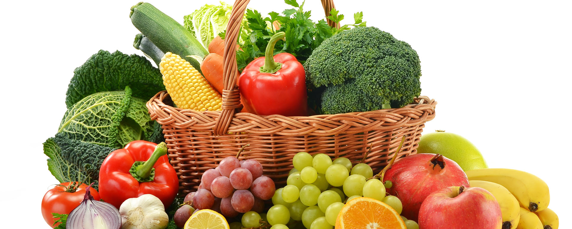 Banner of Urozoone Holistic Kidney Care Clinic