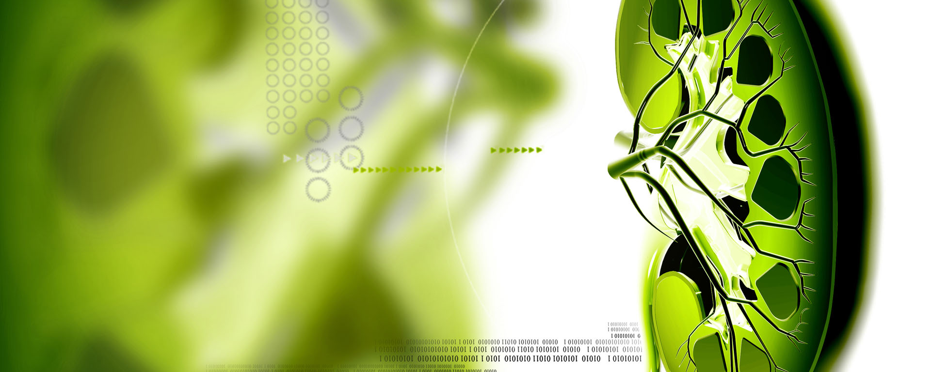 Dr. Bhupeshkumar Kaware - banner photos