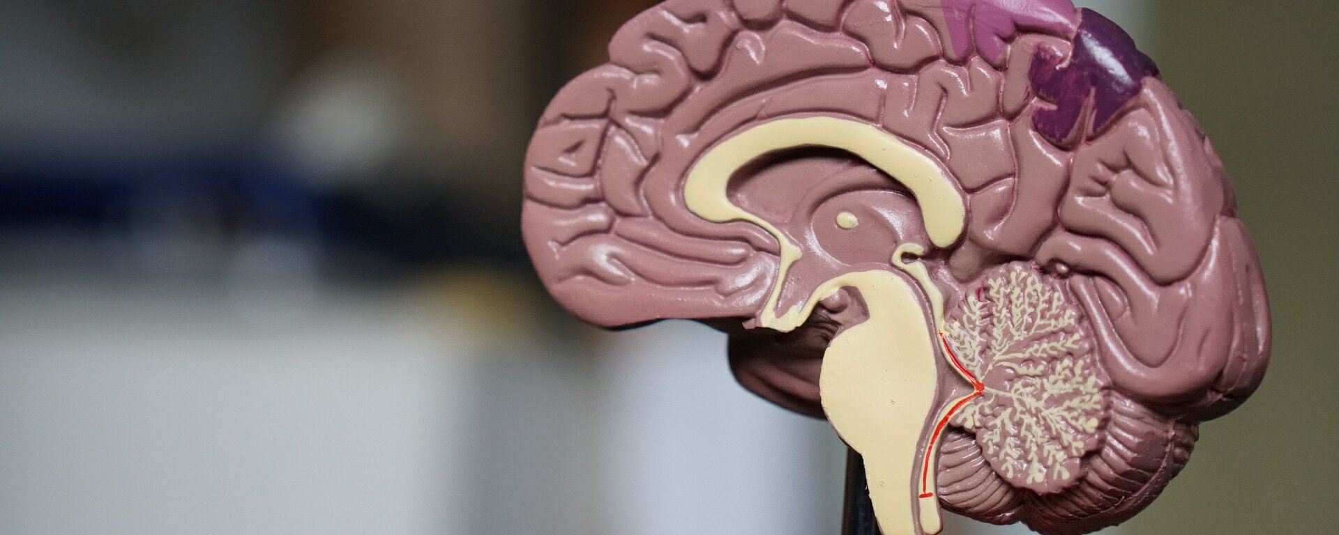 Banner of Dr. Shrey Shah's Neuro Spine Care