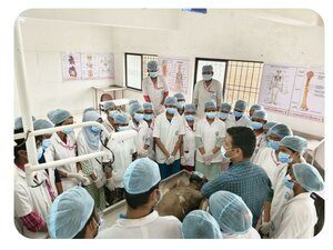 Practical-Performing Body Dissection