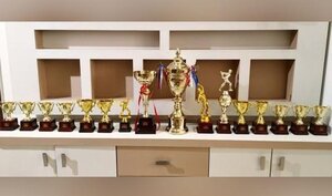 YDL - Cricket Tournament