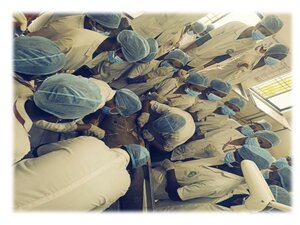 Practical-Performing Body Dissection