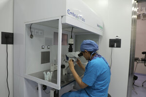 IVF laminar air flow work station for embryos