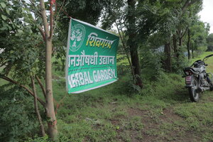 Herbal Garden